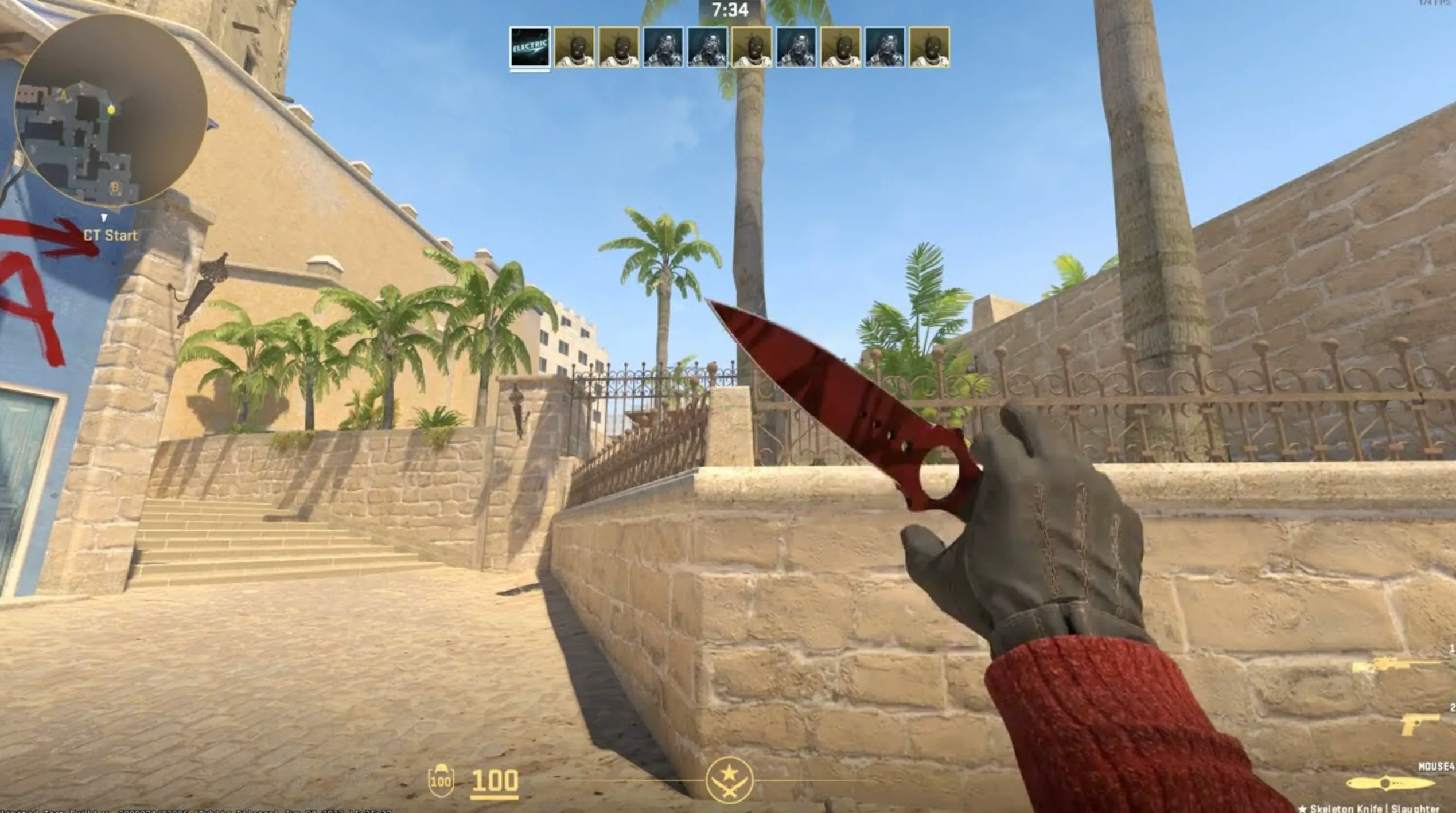 Skeleton Knife Slaughter